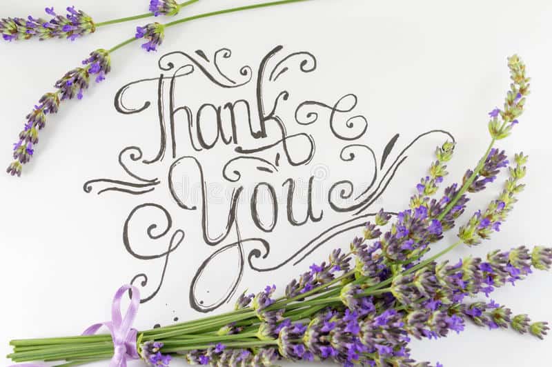 thank you card lavender flowers table 74593170